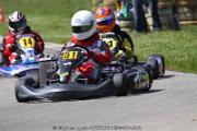 20110501_ales_agnus (2538)